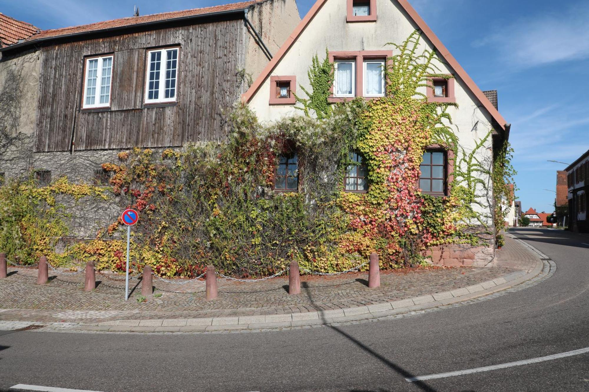 Suedpfalz Barbelroth ภายนอก รูปภาพ